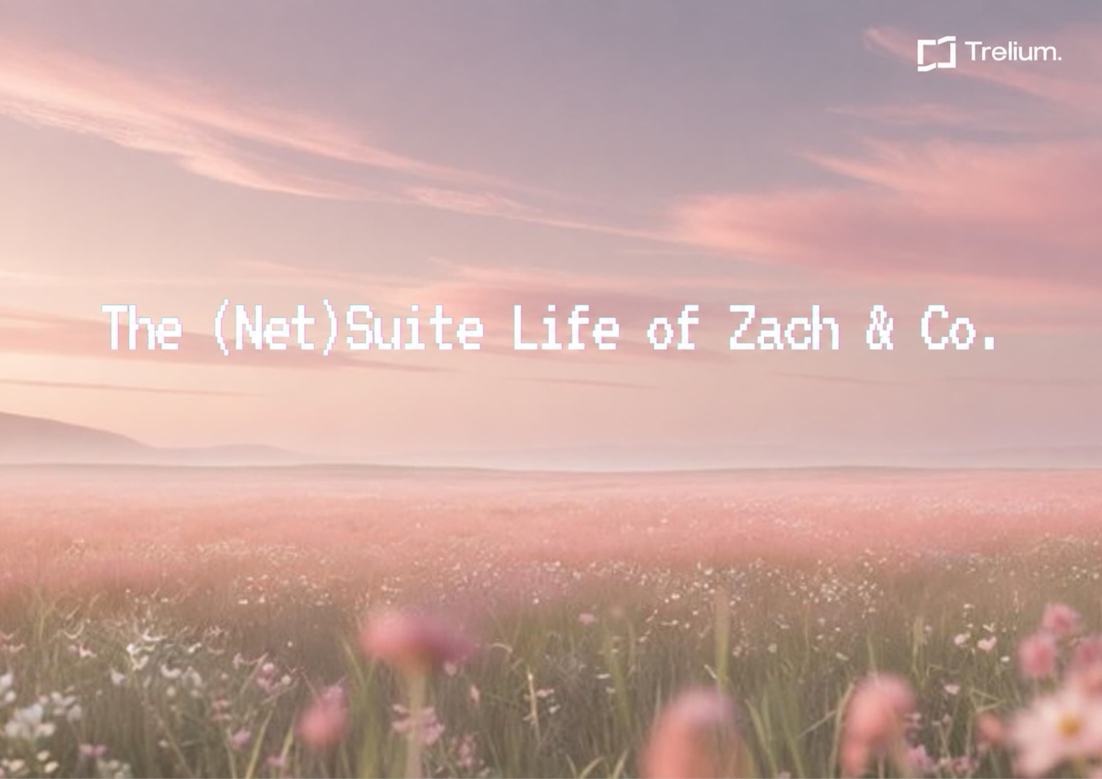 Trelium and NetSuite blog hero reading The (Net)Suite Life of Zach & Co. over a pastel landscape.